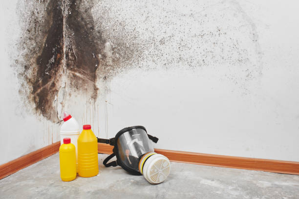 Best Water Damage Restoration  in Cape Charles, VA