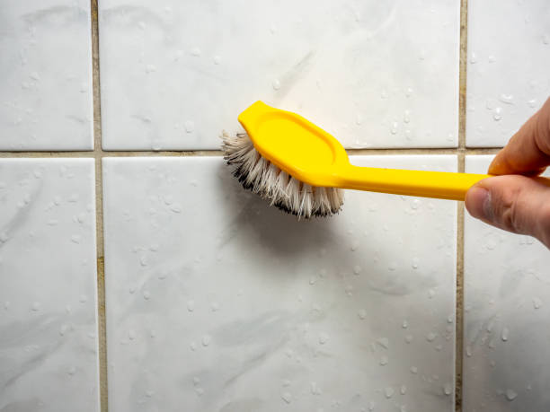 Best Mold Removal Near Me  in Cape Charles, VA