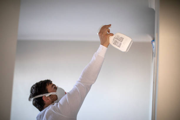 Best Mold Damage Repair  in Cape Charles, VA