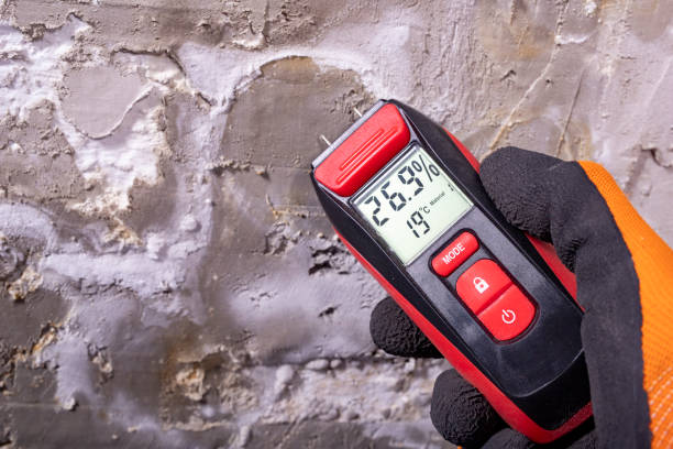 Best Professional Mold Removal  in Cape Charles, VA