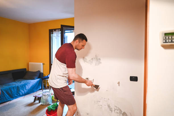 Best Emergency Mold Removal  in Cape Charles, VA