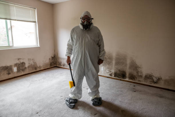 Water Damage Restoration in Cape Charles, VA