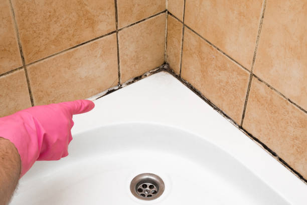 Best Mold Cleaning Services  in Cape Charles, VA